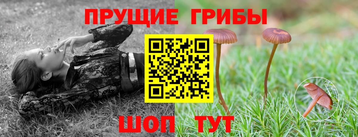 Донецк  Галлюциногенные грибы Cubensis  Вход с VPN  Галлюциногенные грибы мицелий 